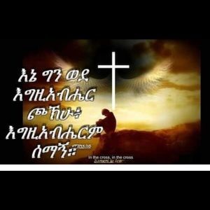 Meet your Posher, Hewan